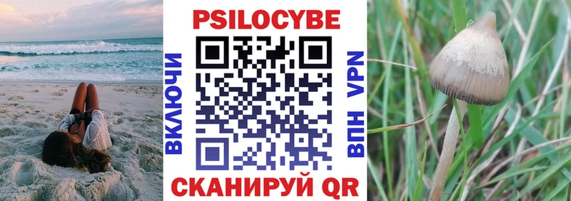 Галлюциногенные грибы GOLDEN TEACHER Купить где Благодарный
